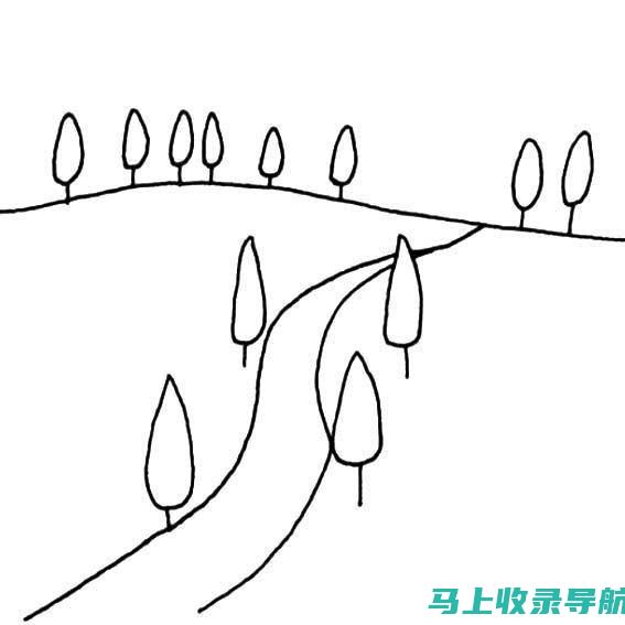 站长之路漫漫：一位互联网人的成长史与奋斗历程